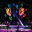 Steve Miller Band — 2013 Tour